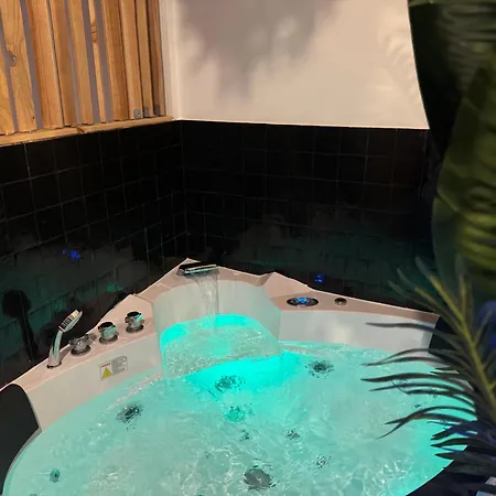 L'oasis Angevine - Balneo, Sauna, Cinema & Parking דירה