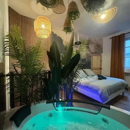 L'oasis Angevine - Balneo, Sauna, Cinema & Parking Appartement *
