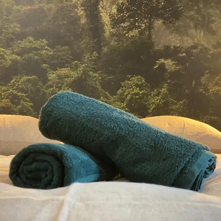 L'oasis Angevine - Balneo, Sauna, Cinema & Parking * 앙제