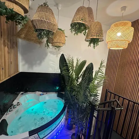 L'Oasis Angevine - Clim, Balneo, Sauna, Home Cinema & Parking
