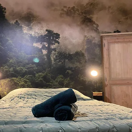 L'oasis Angevine - Balneo, Sauna, Cinema & Parking 앙제