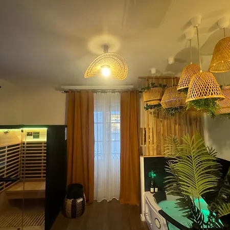 L'oasis Angevine - Balneo, Sauna, Cinema & Parking * Angers