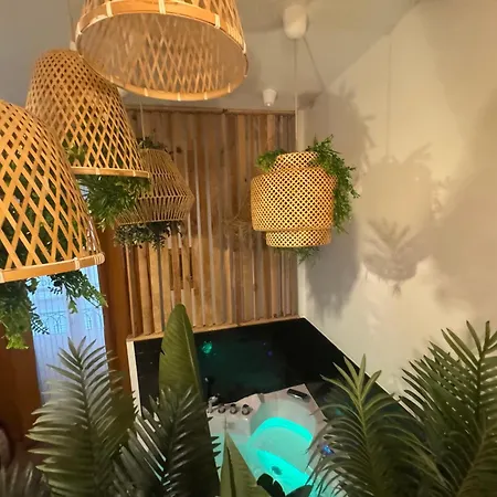 L'oasis Angevine - Balneo, Sauna, Cinema & Parking Appartement Angers