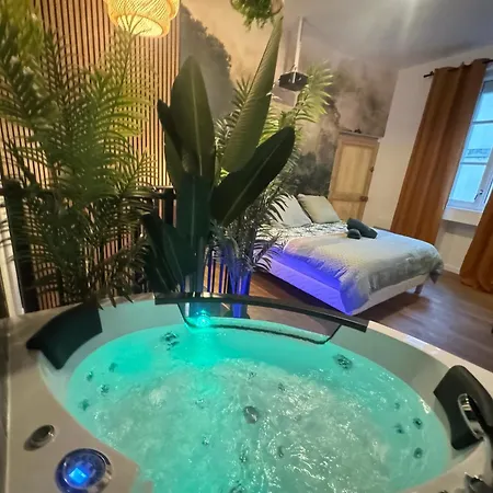 L'oasis Angevine - Balneo, Sauna, Cinema & Parking