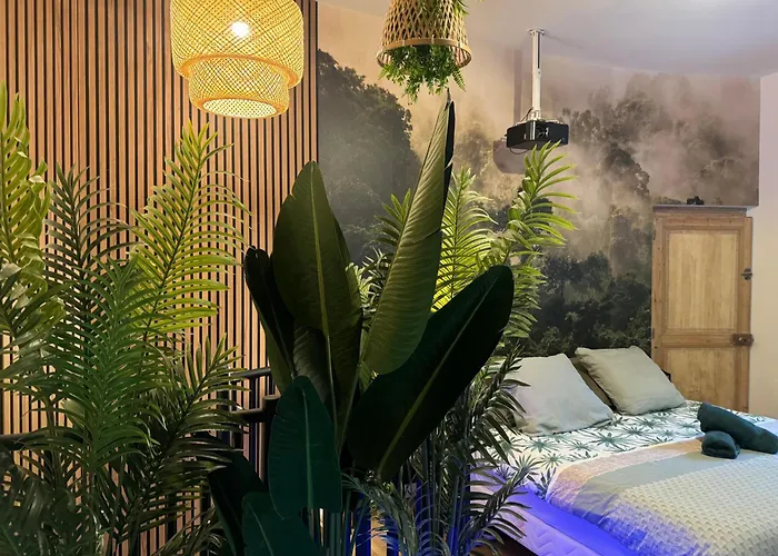 Daire L'oasis Angevine - Balneo, Sauna, Cinema & Parking Angers