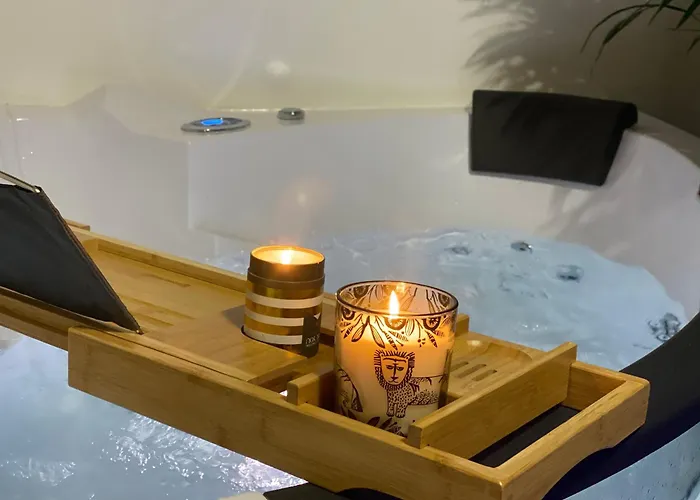 L'oasis Angevine - Balneo, Sauna, Cinema & Parking Apartment *