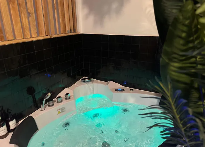 L'oasis Angevine - Balneo, Sauna, Cinema & Parking Apartment