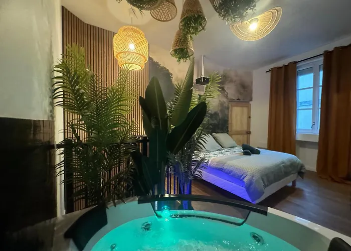 L'oasis Angevine - Balneo, Sauna, Cinema & Parking Apartment *