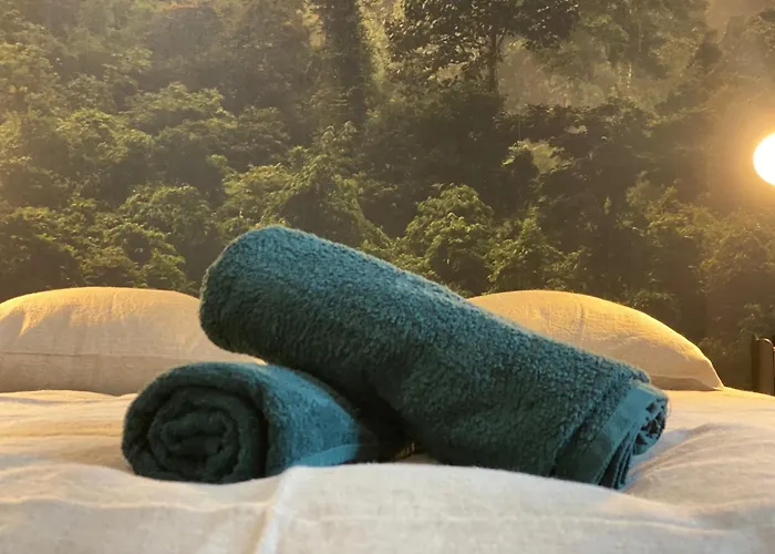 L'oasis Angevine - Balneo, Sauna, Cinema & Parking * 앙제