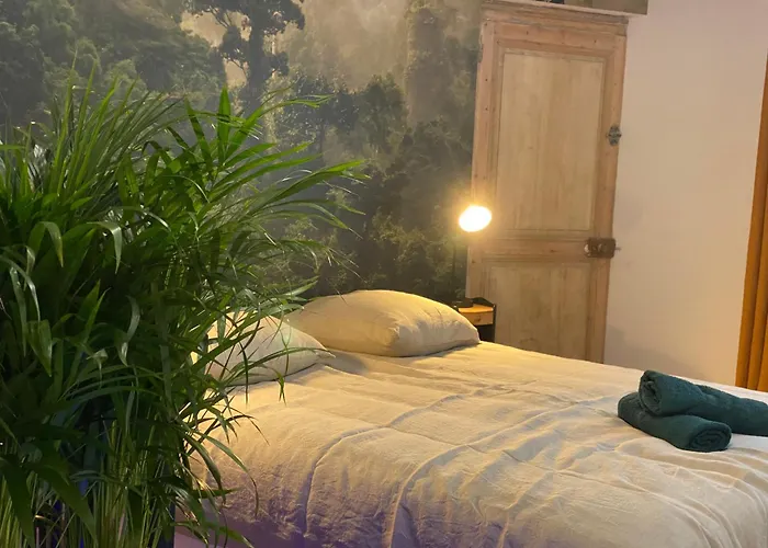 L'oasis Angevine - Balneo, Sauna, Cinema & Parking Daire