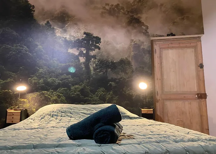 L'oasis Angevine - Balneo, Sauna, Cinema & Parking 앙제