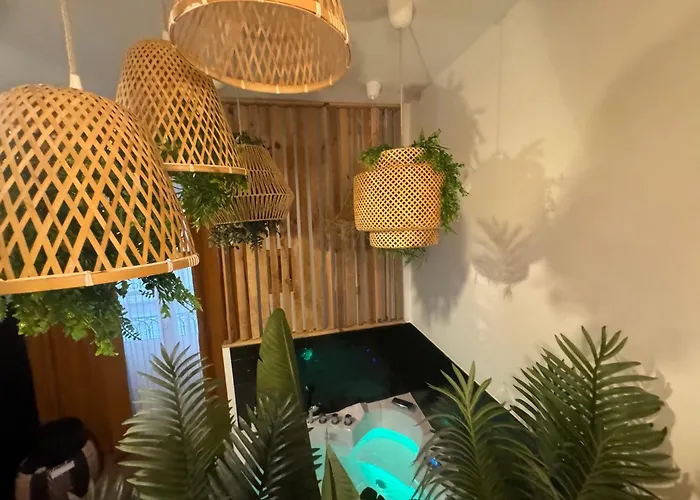 L'oasis Angevine - Balneo, Sauna, Cinema & Parking Daire Angers